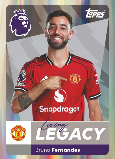 Pl Sticker Stickipedia | Topps Trading Cards & Panini Sticker Collections